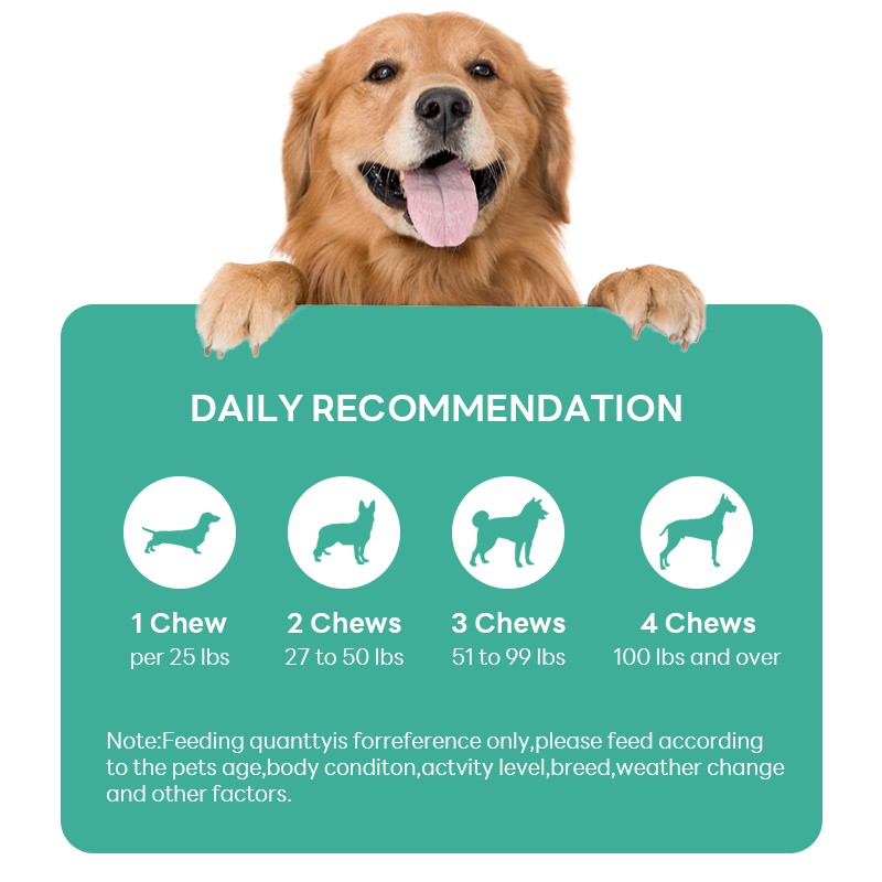 Joint Chews Manufacturer - Advanced Formula MSM Dog Hip Joint Soft Chews Glucosamine Chondroitin Turmeric