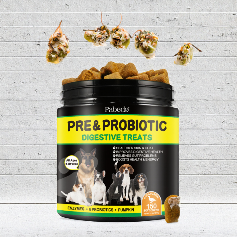 Multivitamin Supplier - Natural 10 in 1 Dog Multivitamin Glucosamine Probiotic Omega Chondroitin