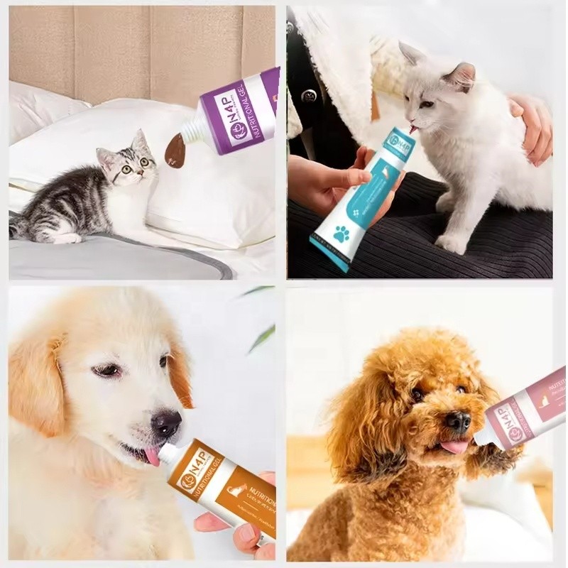 Pet Vitamins Supplier - N4P 120g Pet Vitamin Multivitamin Nutrition Cream Gel Health Care Supplements