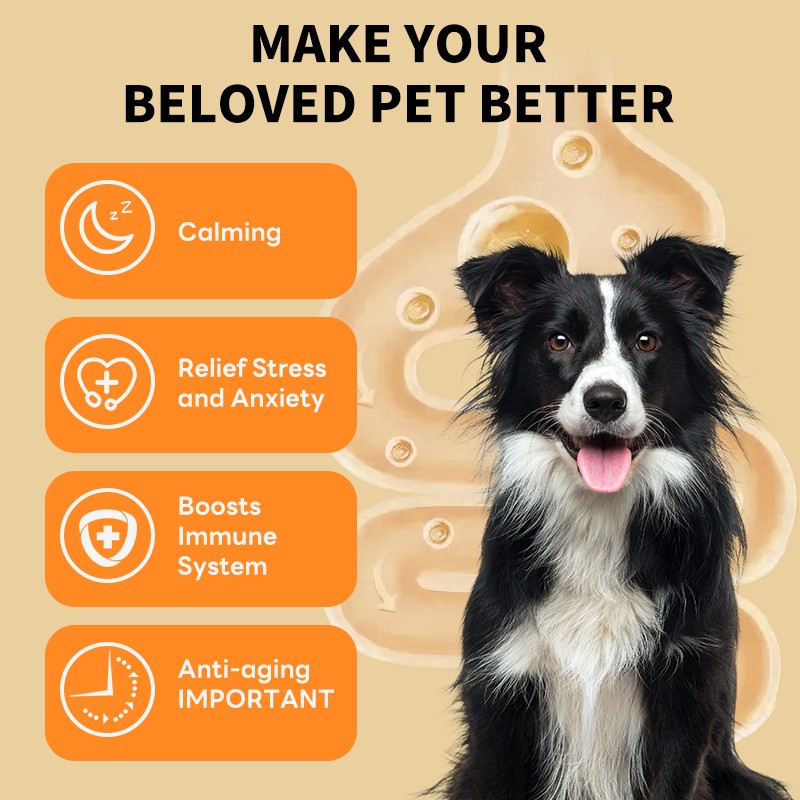 Multivitamin Drops Factory - Multi-Vitamin Pet Drops Liquid Supplement Healthy Skin Shiny Coat