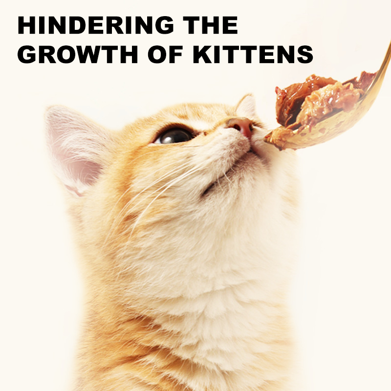 Cat Food Supplier - N4P Factory Direct 375g Canned Cat Food Tuna Beef Chicken Recipe Wet Food