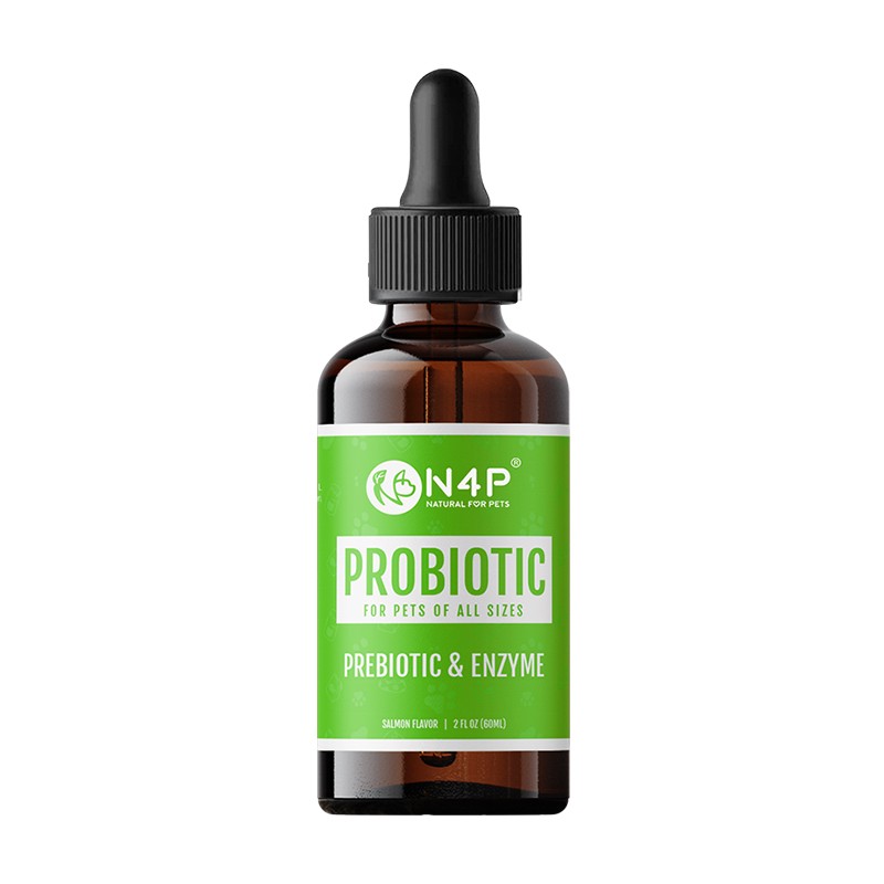 Probiotic Drops Supplier - N4P Stock Ready Bulk Order Probiotic Pet Drops Gut Health Immunity