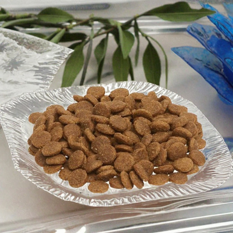 Dry Pet Food Supplier - Organic Grain-Free Pet Dry Food Healthy Custom Label Wholesale Bulk Tons