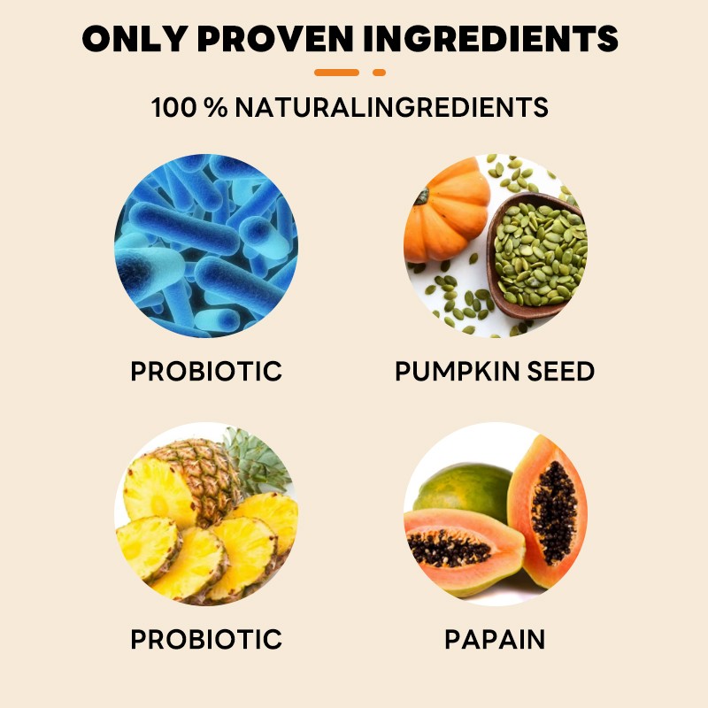 Probiotic Drops Supplier - N4P Stock Ready Bulk Order Probiotic Pet Drops Gut Health Immunity