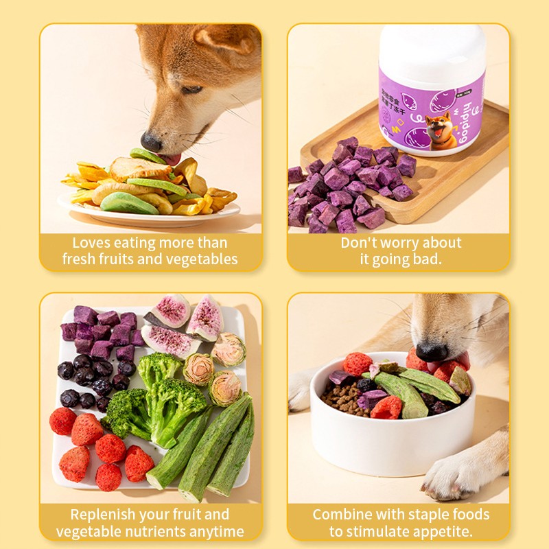 Freeze-Dried Treats Manufacturer - N4P Freeze-Dried Cat Dog Treats Mixed Fruits Vegetables Formula