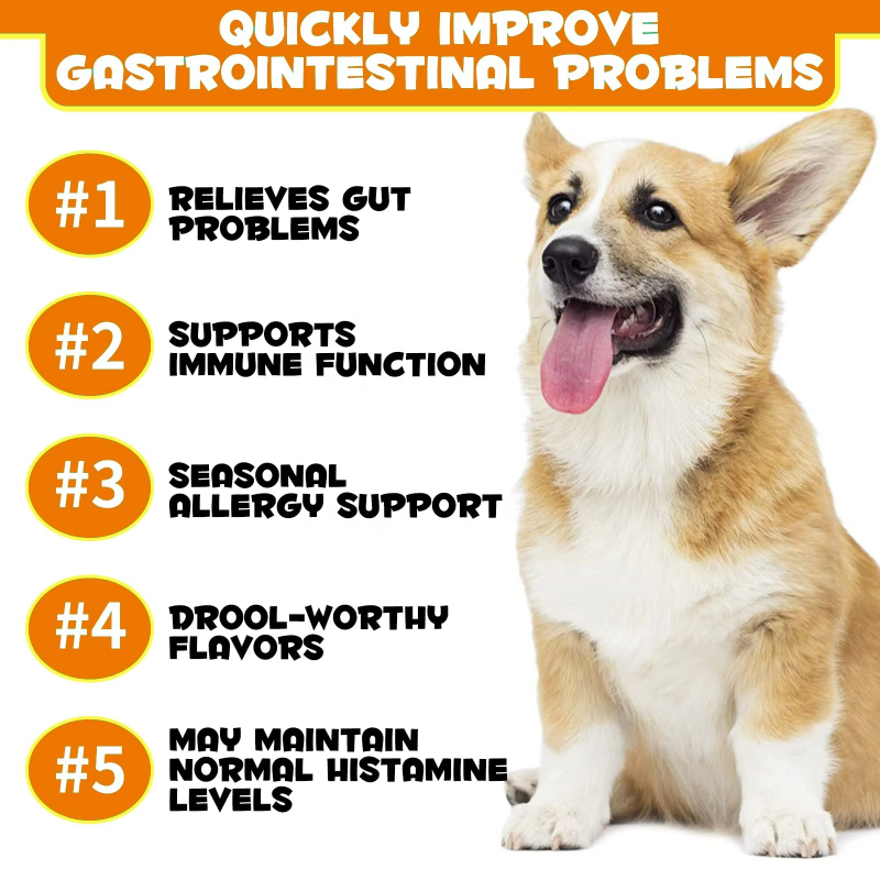 Probiotic Treats Manufacturer - OEM/ODM 400g Natural Probiotic Soft Chews Dog Treats for Gut Health