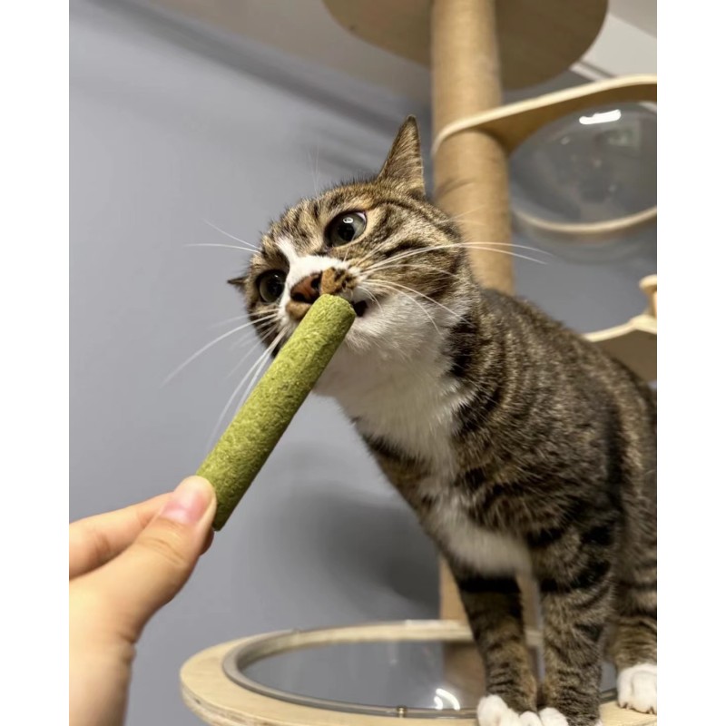 Freeze-Dried Snacks Factory - Customized Logo Freeze Dried Grass Sticks Snacks Chicken Protein Rich