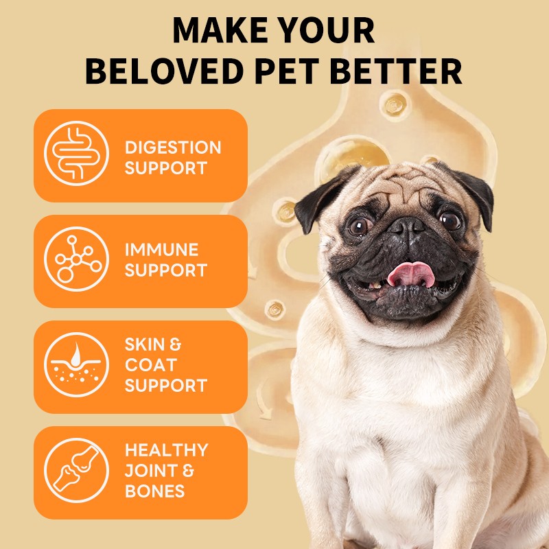 Vitamin Drops Supplier - OEM ODM 10-in-1 Pet Vitamin Drops with Pipette Multivitamin Joint Bone