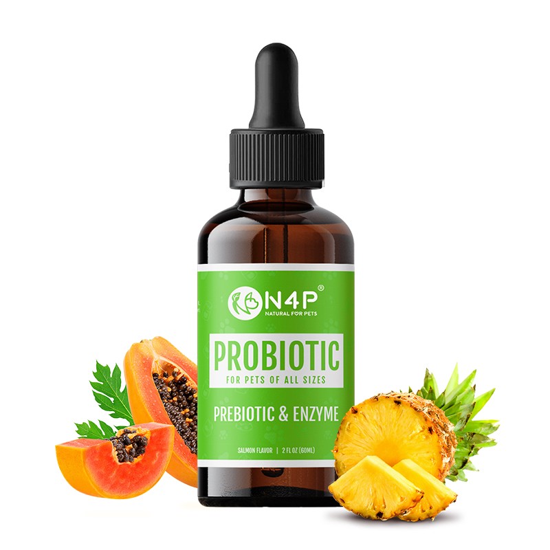Probiotic Drops Supplier - N4P Stock Ready Bulk Order Probiotic Pet Drops Gut Health Immunity