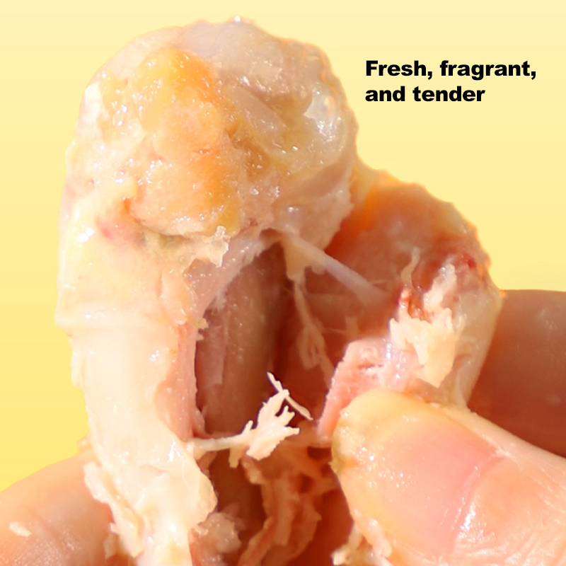 Dog Treats Manufacturer - N4P Factory Direct Tender Chicken Dog Treats 35g Customizable No Additives