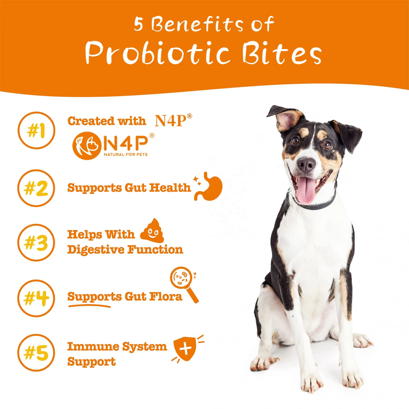 Probiotic Treats Manufacturer - OEM/ODM 400g Natural Probiotic Soft Chews Dog Treats for Gut Health