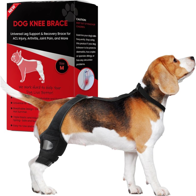 Dog Brace Supplier - Wholesale Breathable Hock Adjustable Recovery Sleeve Dog Leg Knee Brace Support