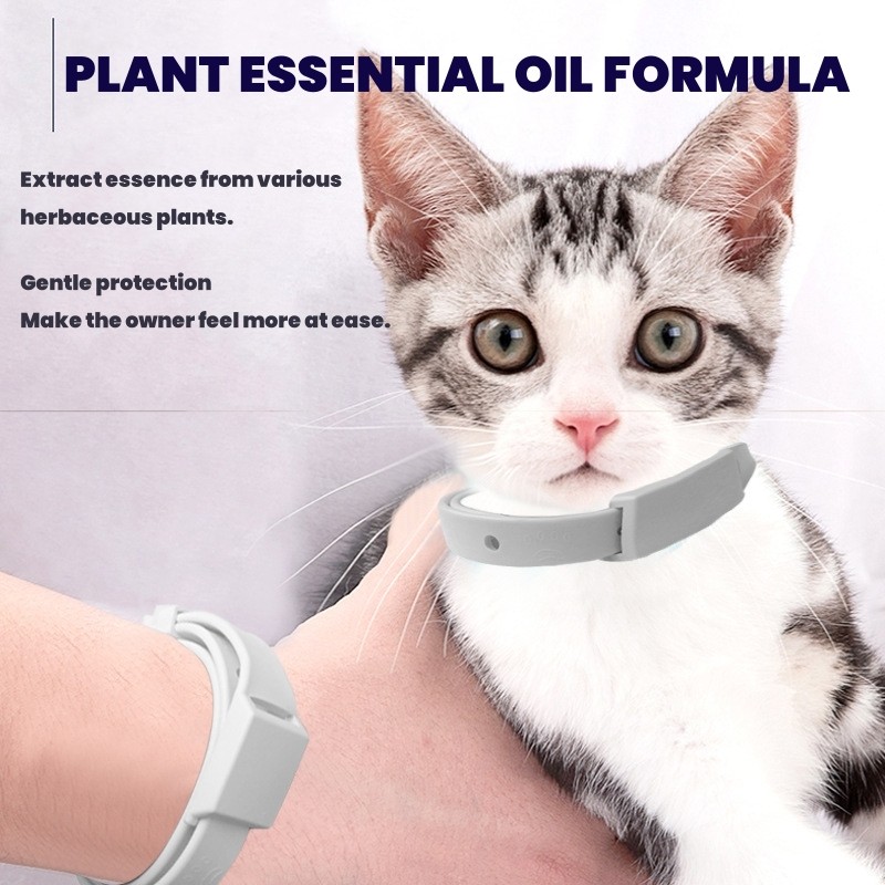 Pet Collar Factory - Customizable PE01 Essential Oil Pet Collar Natural Plant-Based Flea Tick Prevention