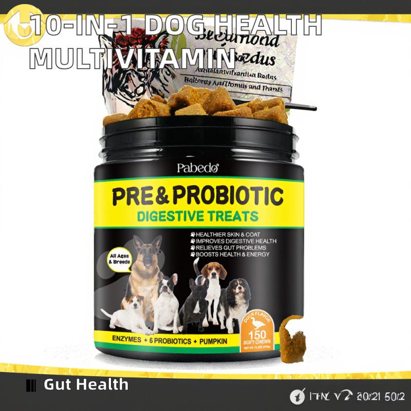 Multivitamin Supplier - Natural 10 in 1 Dog Multivitamin Glucosamine Probiotic Omega Chondroitin