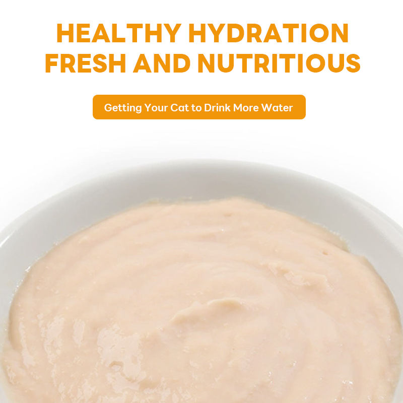 Cat Food Manufacturer - Vilepai Direct Supply Customizable 90g Wet Cat Food Multi-Flavor Glossy Coat