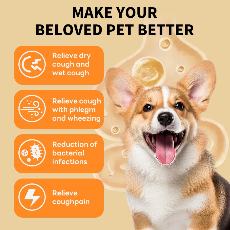 Liquid Supplement Manufacturer - N4P Best-Selling Natural Liquid Pet Drops Immune Support Cough Relief