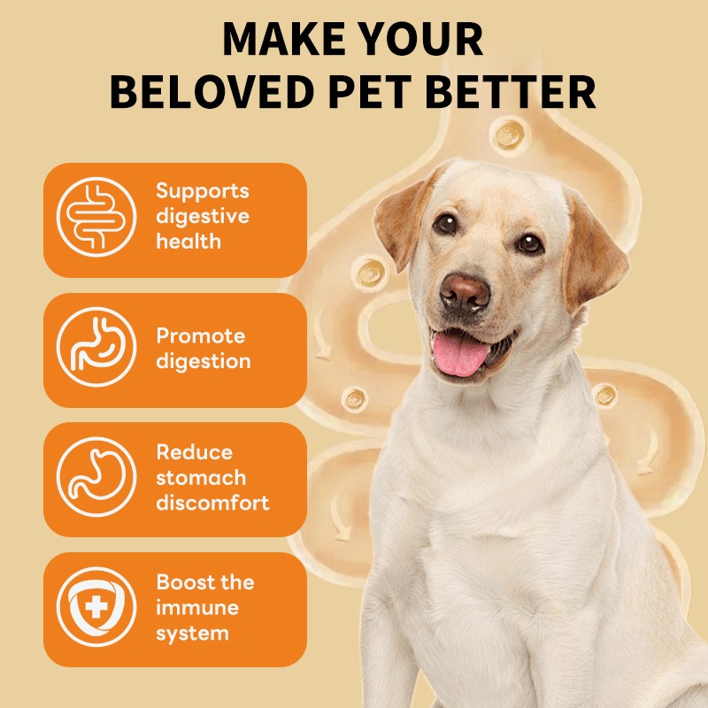 Digestive Drops Factory - Factory Direct Customizable Prebiotic Probiotic Pet Drops 60ml Stomach Support