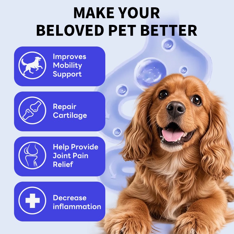 Pet Drops Manufacturer - Hip Joint Support Liquid Drops for Dogs Cats Joint Mobility Discomfort Relief