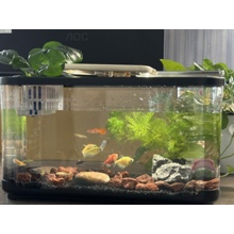 Acrylic Fish Tank Factory - Clear Square Multi Purpose