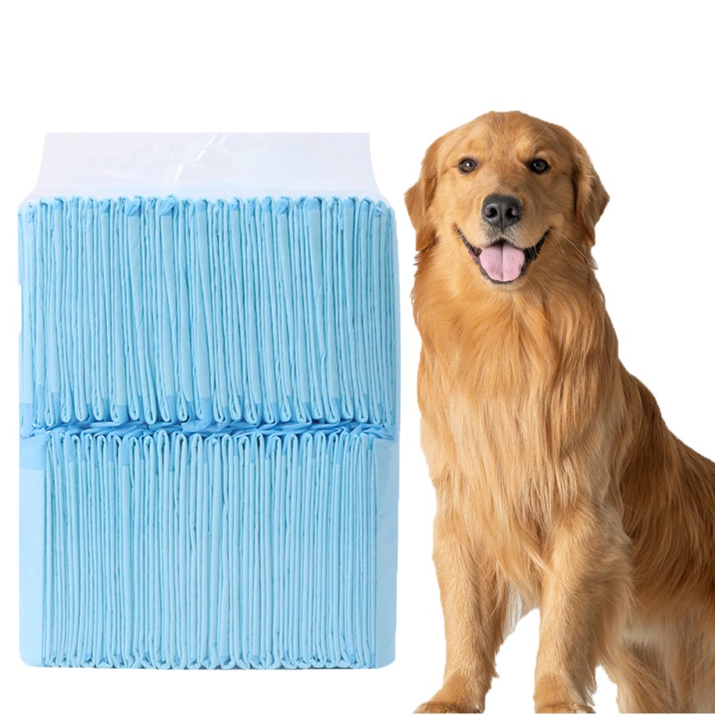 Pet Pee Diapers Supplier - Disposable Eco Friendly