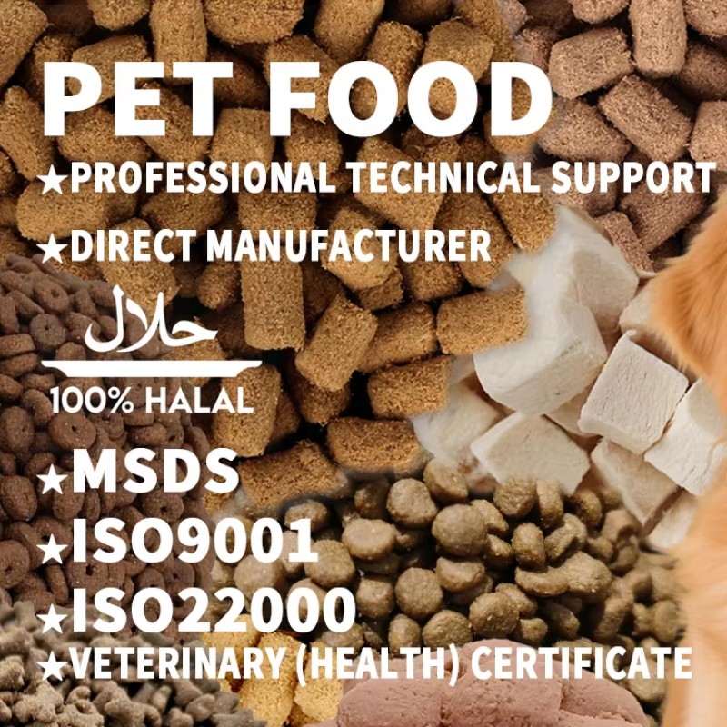 Cat Wet Snack Supplier - Faenbei Creamy Meat Stick