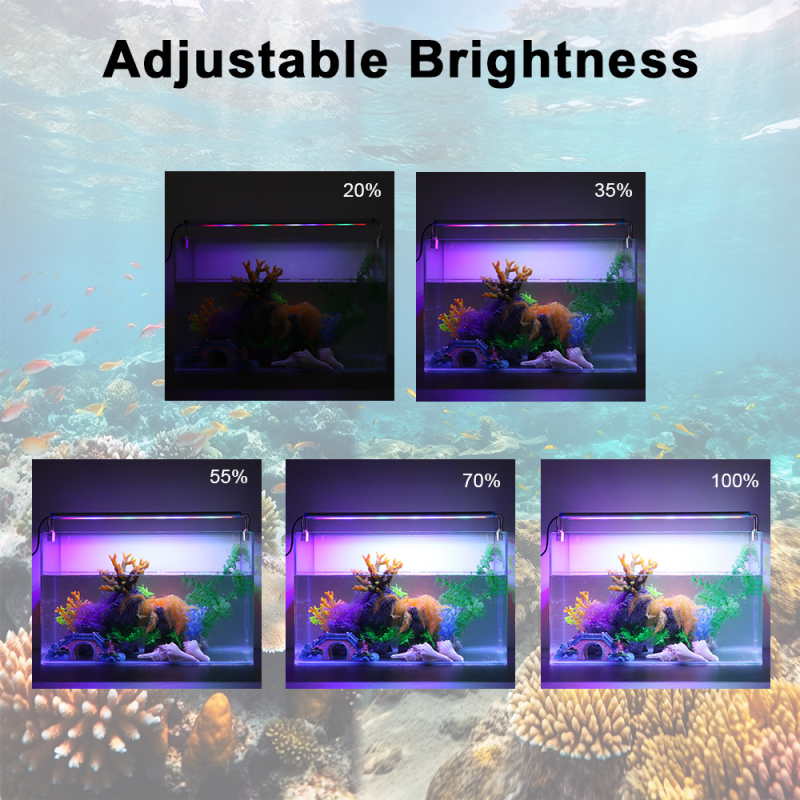 USB Aquarium Light Factory - Rectangular Six-Row Safe