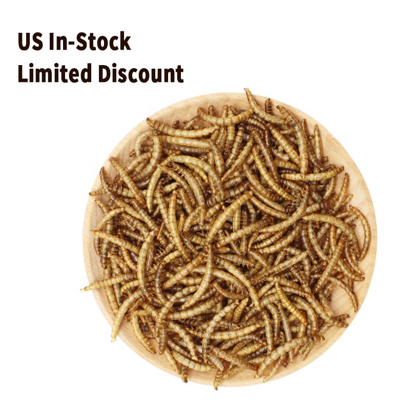 Dry Marine Worms Factory - Limited Discount Fishing