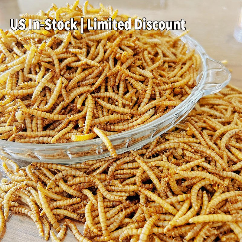 Marine Worms Bait Supplier - Limited Discount High