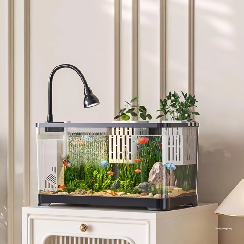 Custom Aquarium Manufacturer - Clear Acrylic Square Shape