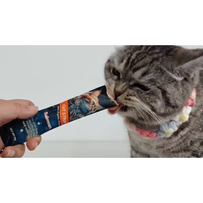 Freeze Dried Cat Snack Supplier - Organic Beef Chicken