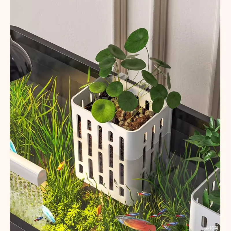 Acrylic Fish Tank Supplier - Clear Square Black Frame