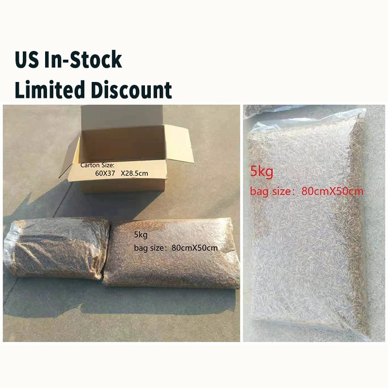 Mealworm Insect Feed Manufacturer - High Protein Additive