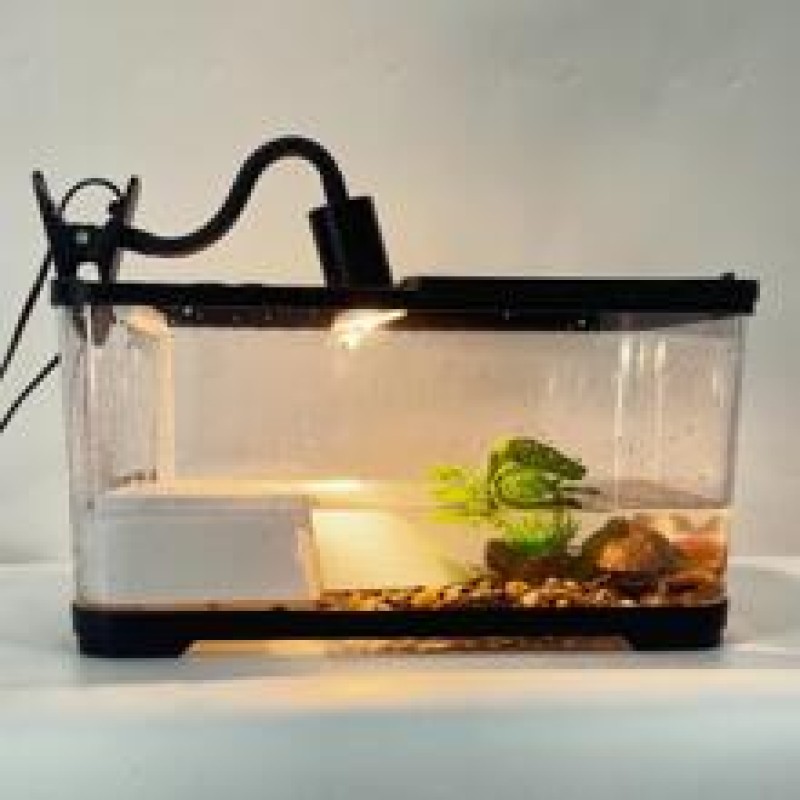 Glass Aquarium Tank Factory - Ultra Clear Smart Cabinet