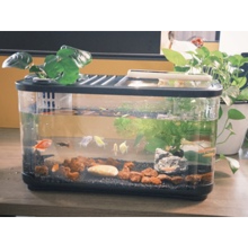 Fish Tank Set Supplier - Complete Filtration System