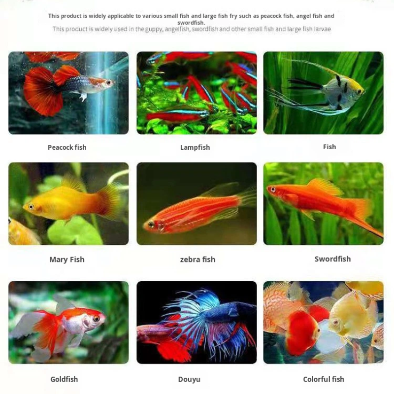 Freeze Dried Fish Feed Manufacturer - Red Worm Chunks