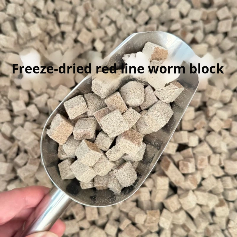 Freeze Dried Fish Feed Manufacturer - Red Worm Chunks