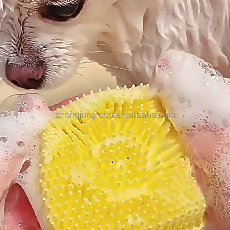 Pet Bath Brush Supplier - Luxury Eco Friendly
