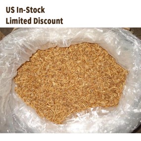 Marine Worms Bait Supplier - Limited Discount High
