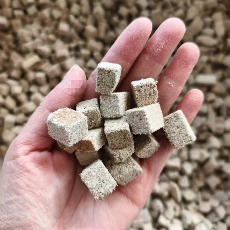 Freeze Dried Fish Feed Manufacturer - Red Worm Chunks