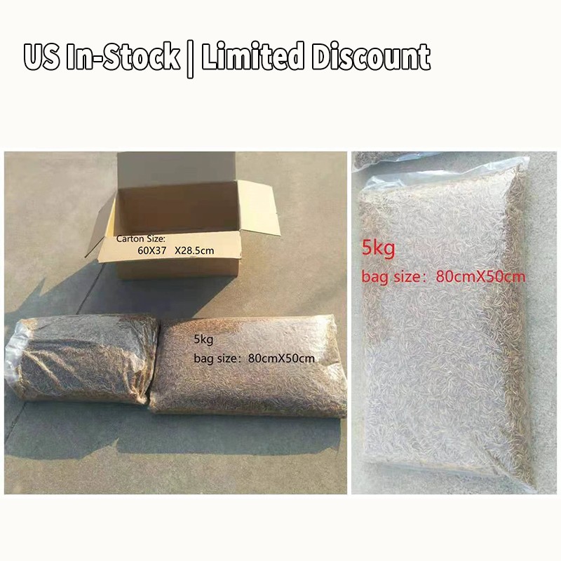 Mealworms Supplier - High Protein No Preservatives