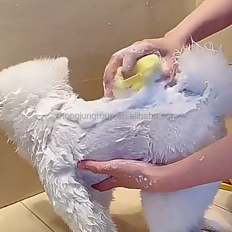 Pet Bath Brush Supplier - Luxury Eco Friendly