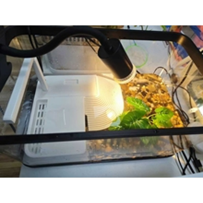 Desktop Aquarium Supplier - Acrylic Square Black Frame