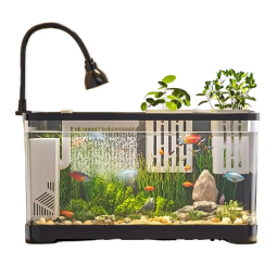 Desktop Tank Manufacturer - Modern Villa Ecological