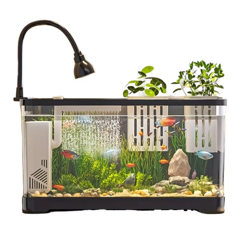 Desktop Tank Manufacturer - Modern Villa Ecological
