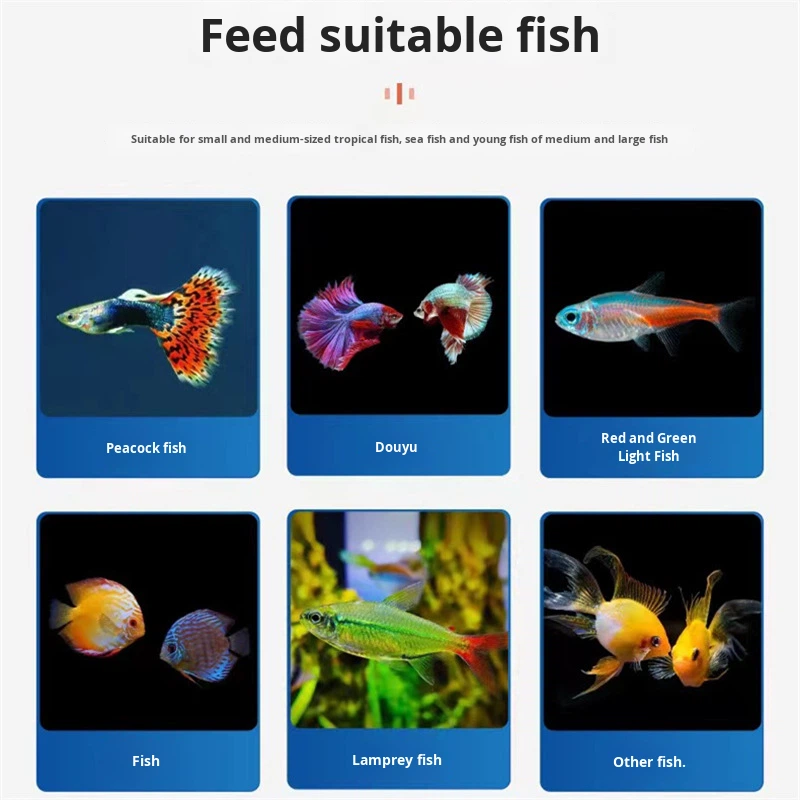 Freeze Dried Fish Feed Manufacturer - Red Worm Chunks