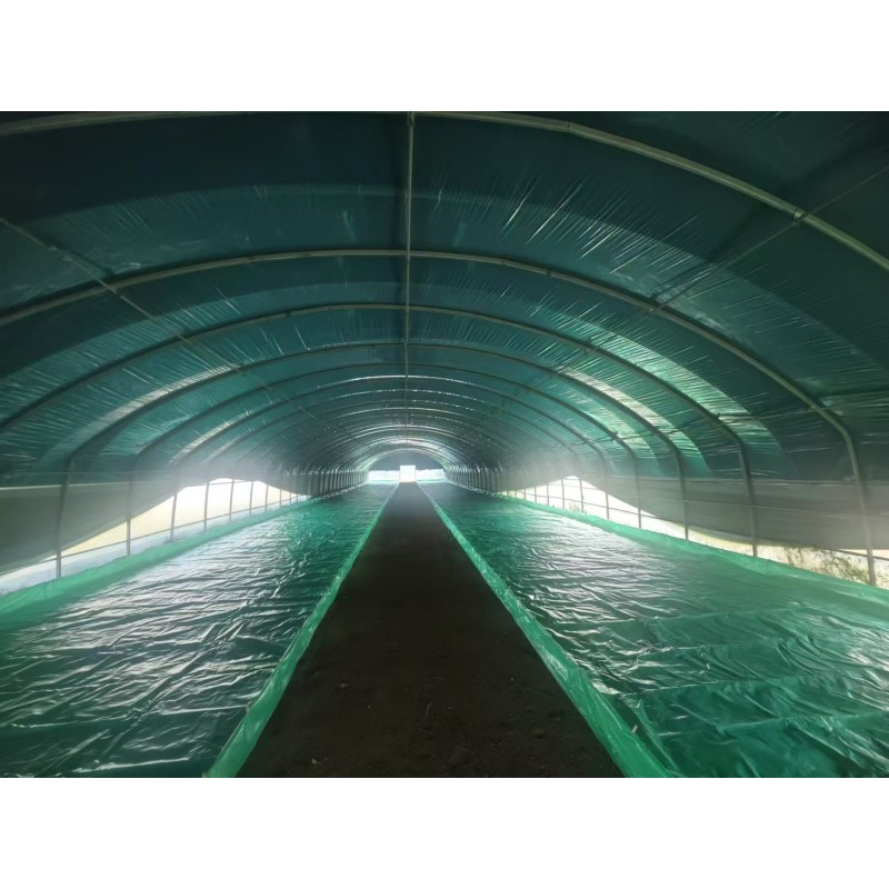 Marine Worms Bait Supplier - Limited Discount High