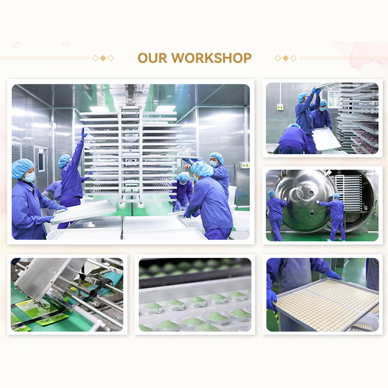 Dog Food Manufacturer - OEM ODM Factory Direct Supply High Protein Fresh Meat Low Carb Dog Food