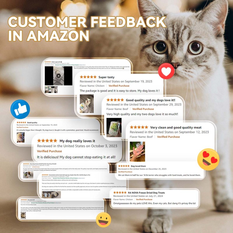 Mealworms Powder Manufacturer - OEM ODM Manufacturer Certificate Freeze Drying Mealworms Powder Export