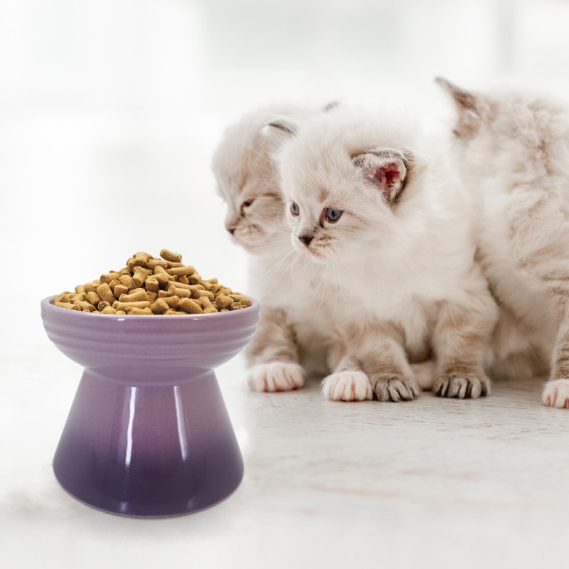 Freeze Dried Pet Food Supplier - Ranova Salmon Chicken