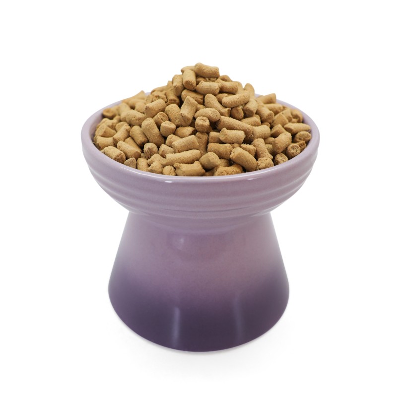 Freeze Dried Pet Food Supplier - Ranova Salmon Chicken